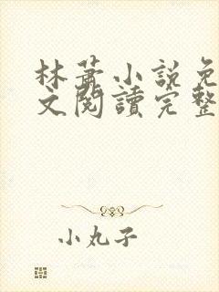 林萧小说免费全文阅读完整版封面