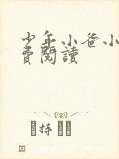 少年小爸小说免费阅读