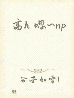 高h 嗯~np