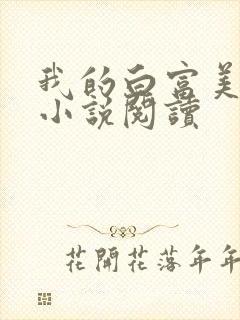 我的白富美老婆小说阅读