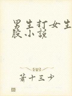 男生打女生光屁股小说封面