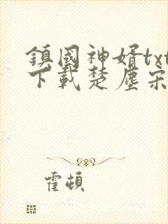 镇国神婿txt下载楚尘宋颜封面