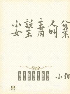 小说主人公林凡女主角叫叶惜