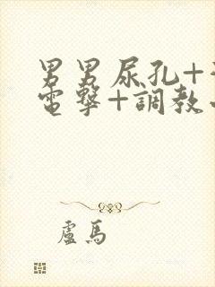 男男尿孔+灌+电击+调教小说