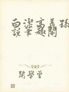 白洁高义孙倩小说笔趣阁封面