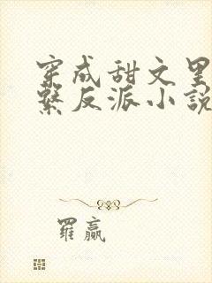 穿成甜文里的佛系反派小说