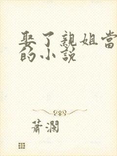 娶了亲姐当老婆的小说封面