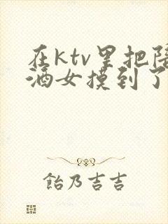 在ktv里把陪酒女摸到了高潮封面