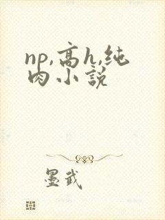 np,高h,纯肉小说封面