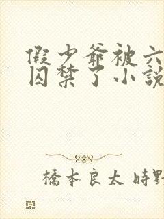 假少爷被六个哥囚禁了小说