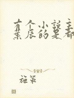 有个小说主角叫叶辰的是都市什么小说