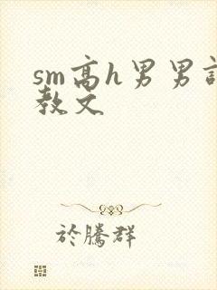 sm高h男男调教文封面