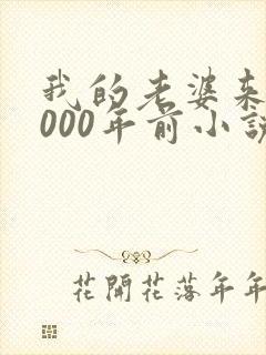 我的老婆来自1000年前小说免费阅读,无弹窗封面