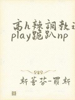 高h辣调教道具play跪趴np