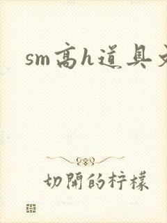 sm高h道具文