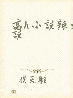 高h小说辣文小说