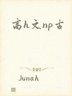 高h文np古