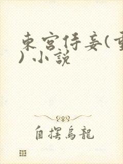 东宫侍妾(重生) 小说