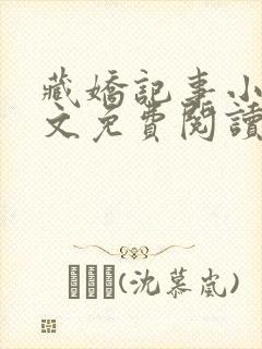 藏娇记事小说全文免费阅读