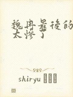 魏冉最后的结局太惨了