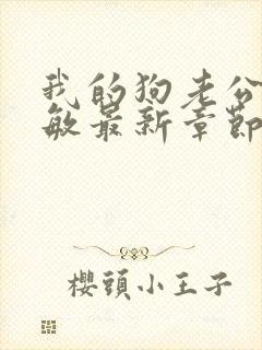 我的狗老公张淑敏最新章节免费阅读