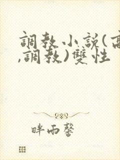 调教小说(高h,调教)双性封面