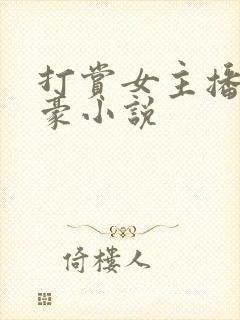 打赏女主播的神豪小说