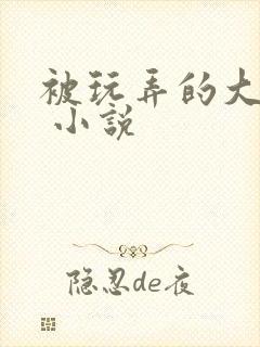 被玩弄的大小姐 小说封面