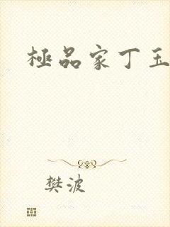 极品家丁玉