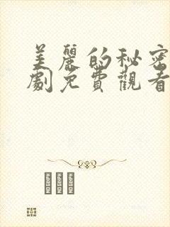 美丽的秘密电视剧免费观看第22集封面