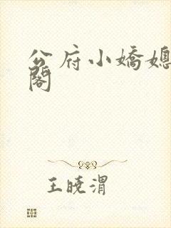 公府小娇媳笔趣阁