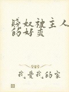 贱奴被主人调教的好爽