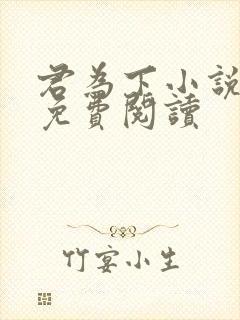 君为下小说全文免费阅读封面