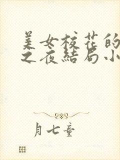 美女校花的不眠之夜结局小说