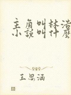 主角叫林浩然的小说叫什么