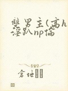 双男主(高h)淫趴np伦