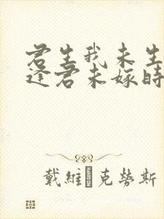 君生我未生恨不逢君未嫁时封面