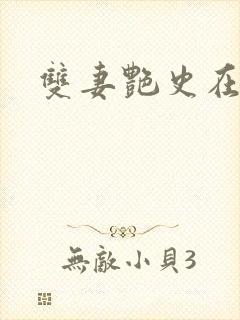 双妻艳史在线看