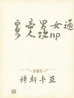 皇帝男女通吃×多人攻np