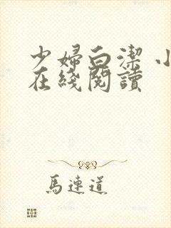 少妇白洁 小说在线阅读