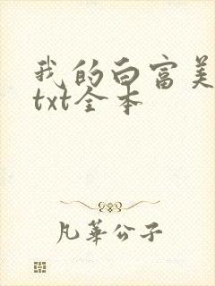 我的白富美老婆txt全本封面