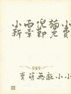 小雨倪楠小说最新章节免费阅读