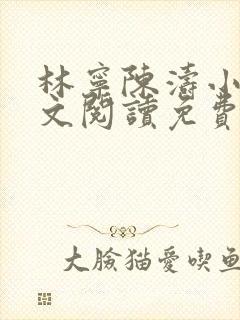 林宁陈涛小说全文阅读免费