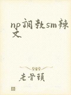 np调教sm辣文封面