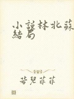 小说林北苏婉大结局