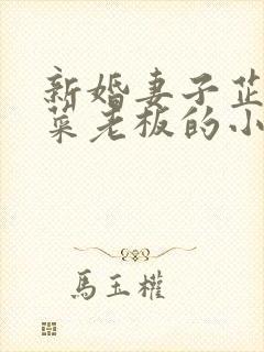 新婚妻子芷姗与菜老板的小说