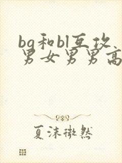 bg和bl互攻男女男男高h文