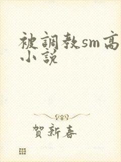 被调教sm高h小说