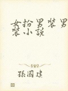 女扮男装男扮女装小说封面