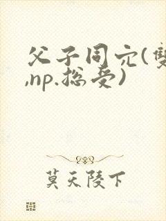 父子同穴(双性,np.总受)封面